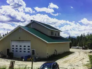 Kingdom Brewing
