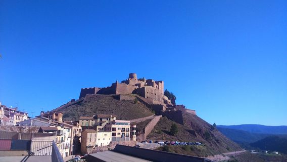 Castillo de Cardona, Conjunto