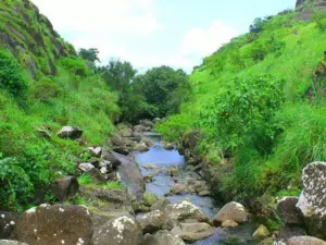 Idukki Wildlife Sanctuary