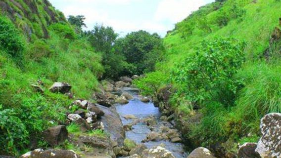 Idukki Wildlife Sanctuary
