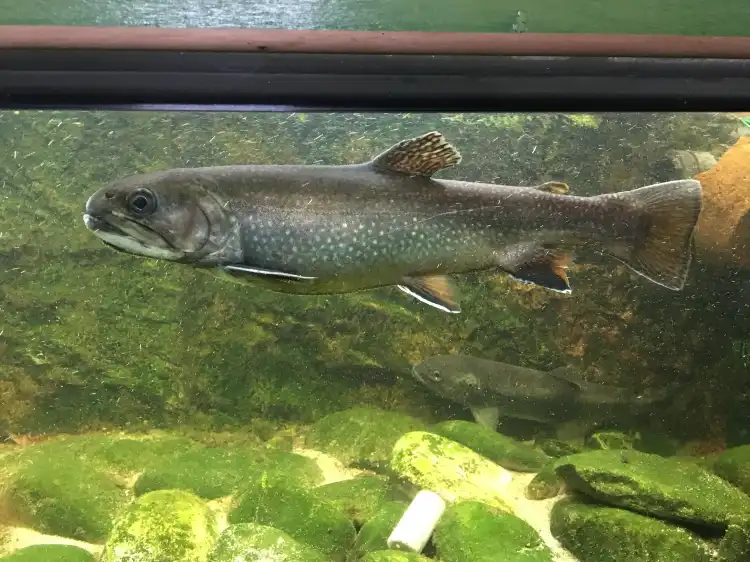 Hotels in Motta Baluffi