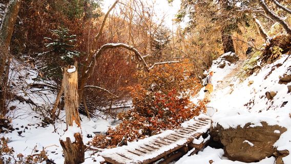 Adams Canyon Trailhead