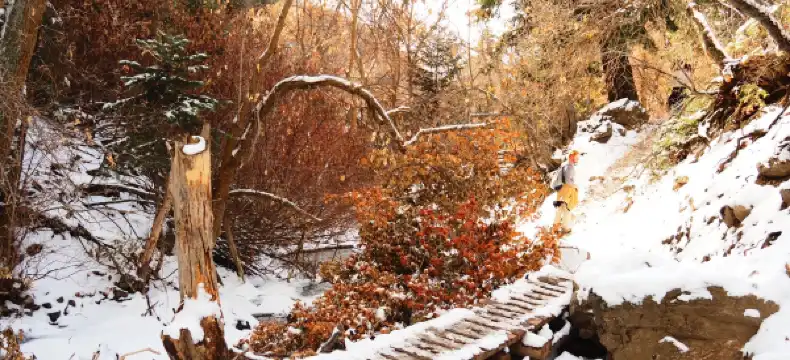 レイトンのホテル