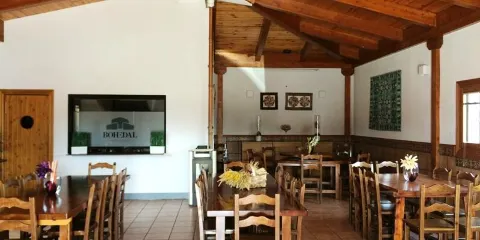 Bohedal Bodega Boutique