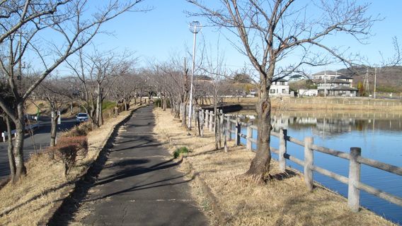 Hōjō Large pond.