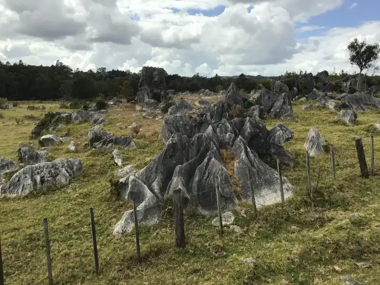 Hôtels à : Hikurangi