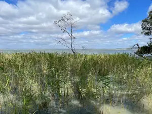 Lake Burrumbeet