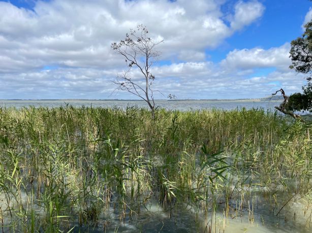 Lake Burrumbeet