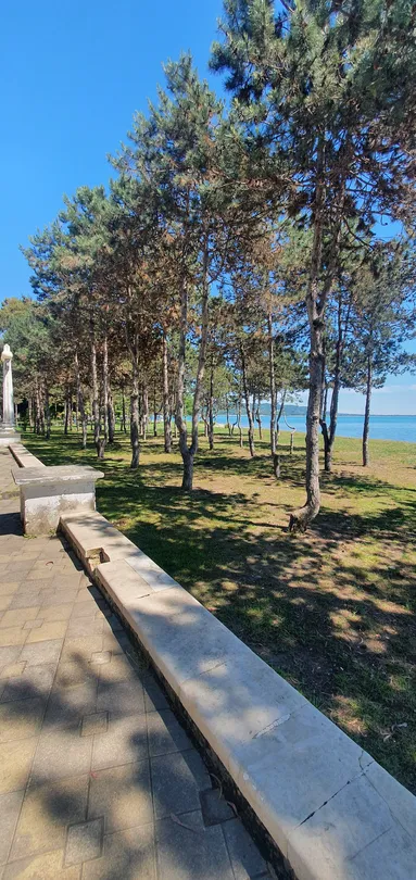 5_Фонтан Грифоны