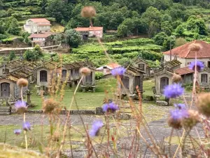 Granaries of Lindoso