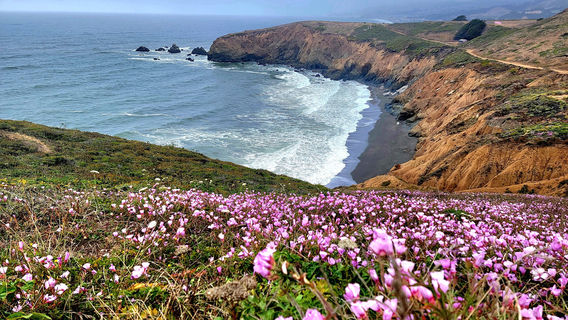 Mori Point