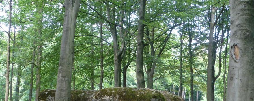 Loopgravenpad Mastenbos