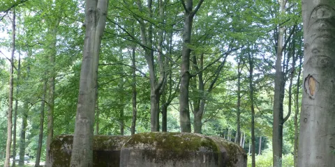 Loopgravenpad Mastenbos