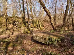 Black Rocks