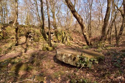 Black Rocks