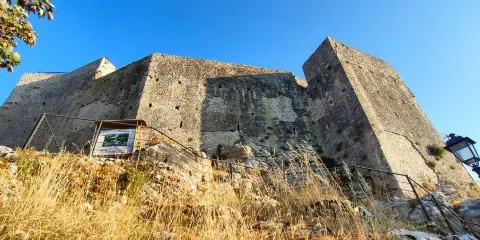 Museo Geopaleontologico 'Ardito Desio'