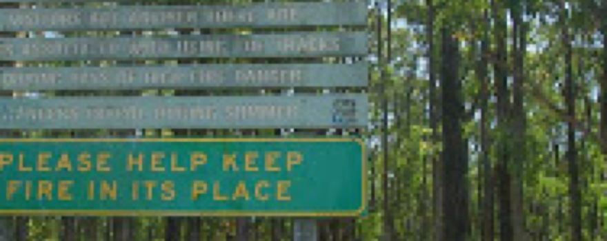 Wright Forest