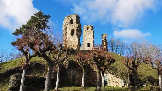 Tour Anne de Bretagne