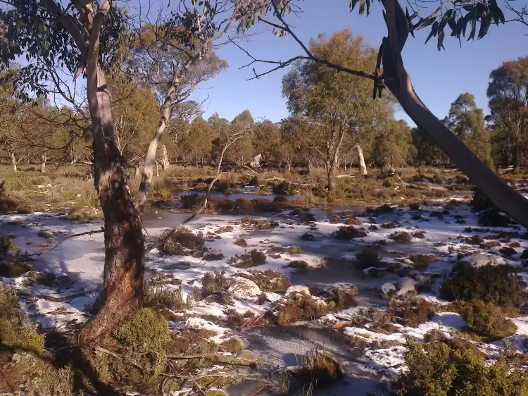 Hotels in Central Plateau