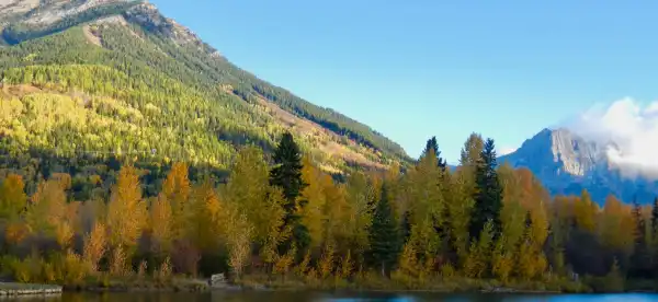 Hotels in Fernie
