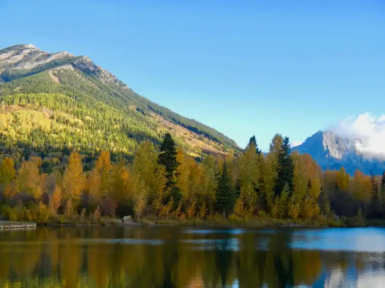 Fernie