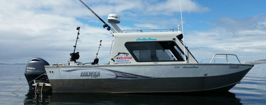 Wildfish Charters