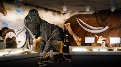 Sanford Museum & Planetarium