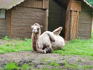 ZOO Nowy Tomyśl