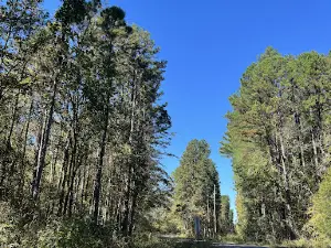 Brazil Creek Campground