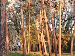 Park