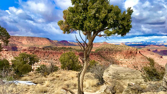Bunting Trail - Trailhead