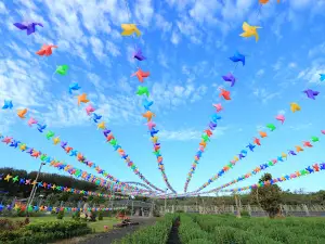Điểm du lịch Sơn Long Field