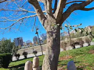 Qa'em Park