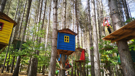 Parco Avventura Alberolandia