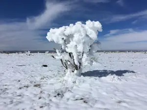 Highest Point in Oklahoma Trailhead