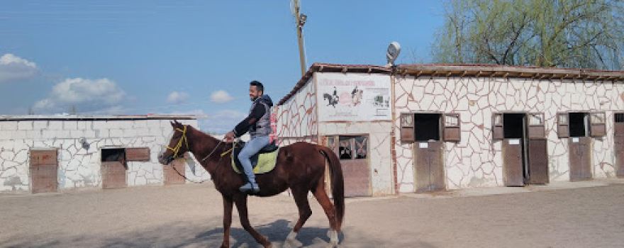 Sürmeli At Çiftliği