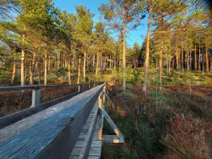 Meenikunno raba õpperada