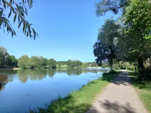 Etang des Près de la ville à Prémery