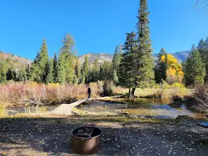 Willow Flat Campground
