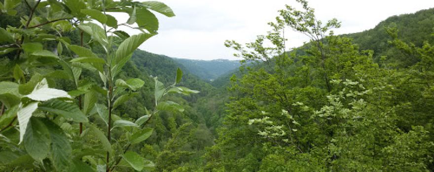 Schreckenfels bei Grabenstetten