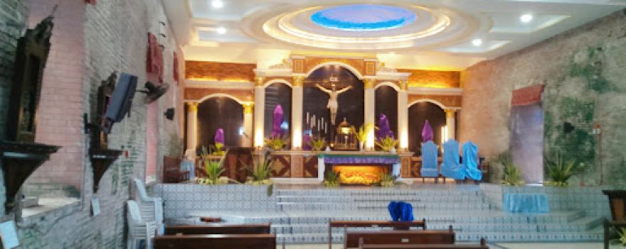 Our Lady of The Immaculate Conception Parish