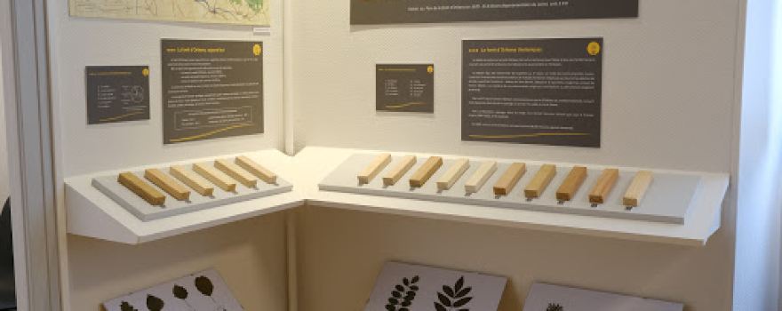 Musée Poterie & Forêt à Nibelle