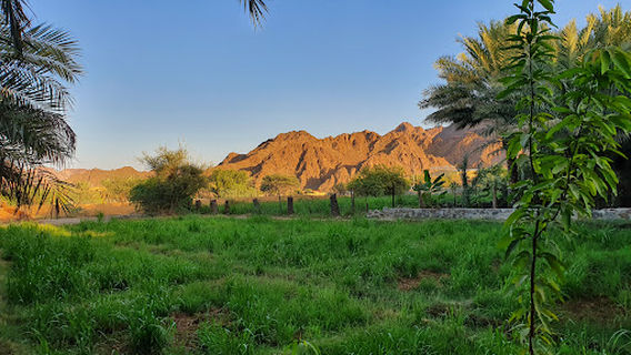 Hatta Hiking