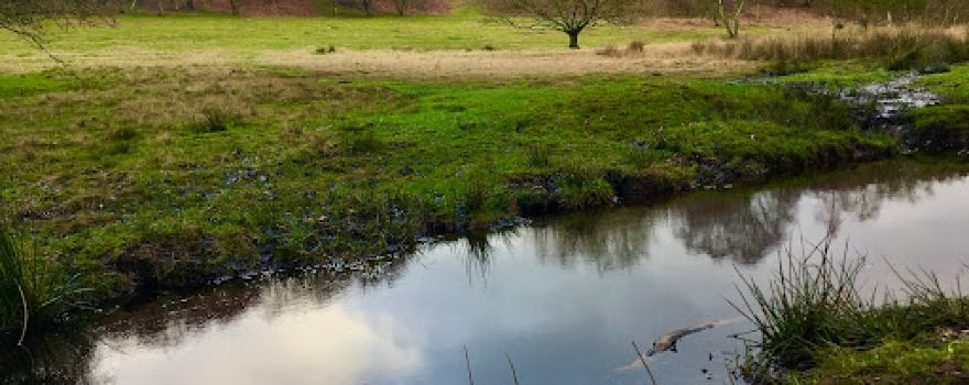 Downs Banks - Ford