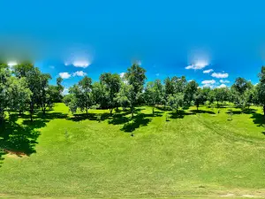 Pecan Acres Park