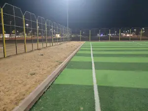 Stadium swivel