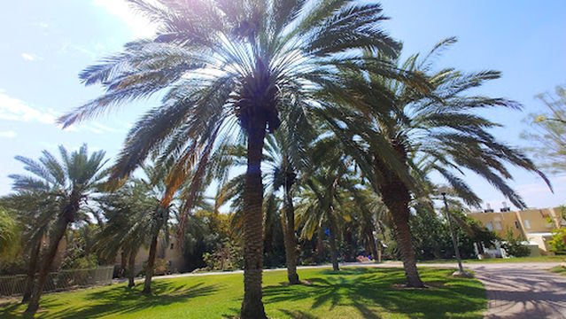 Ein Gedi Eco Park