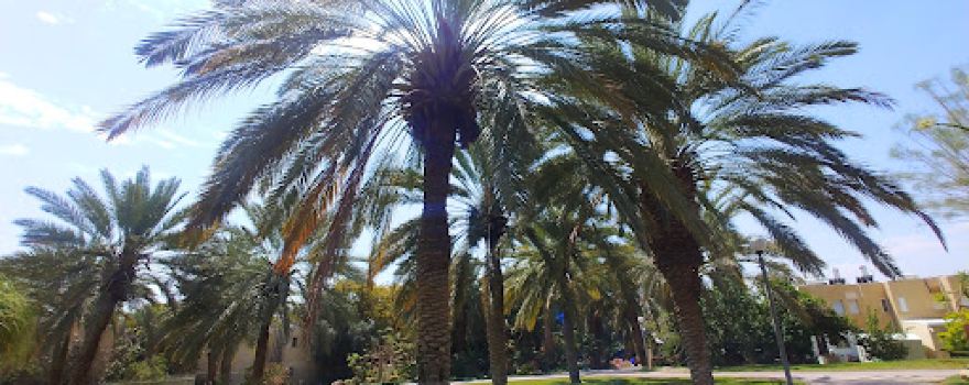 Ein Gedi Eco Park