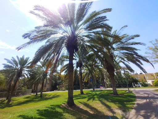 Ein Gedi Eco Park