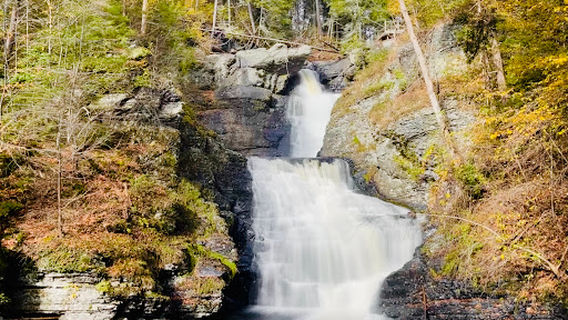 Dingman Township
